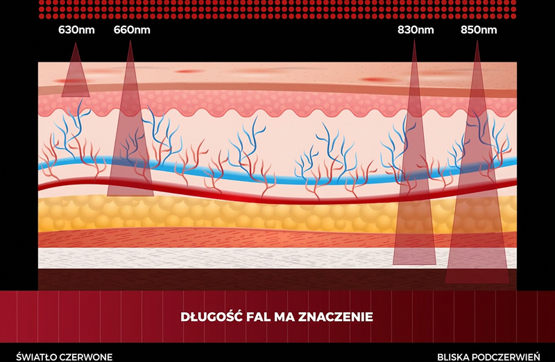 Długości fal: światło czerwone 630 i 660 nm, bliska podczerwień 830 i 850 nm